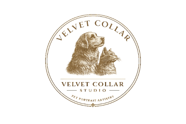 Velvet Collar Studios